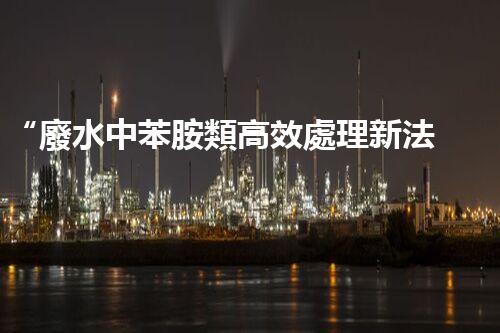 “廢水中苯胺類高效處理新法，環(huán)保先鋒引領(lǐng)綠色以后”